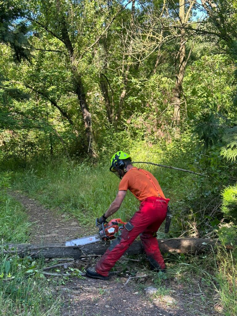 2024_@_Pays_des_Cévennes_Baptyste_DUPRE (4)