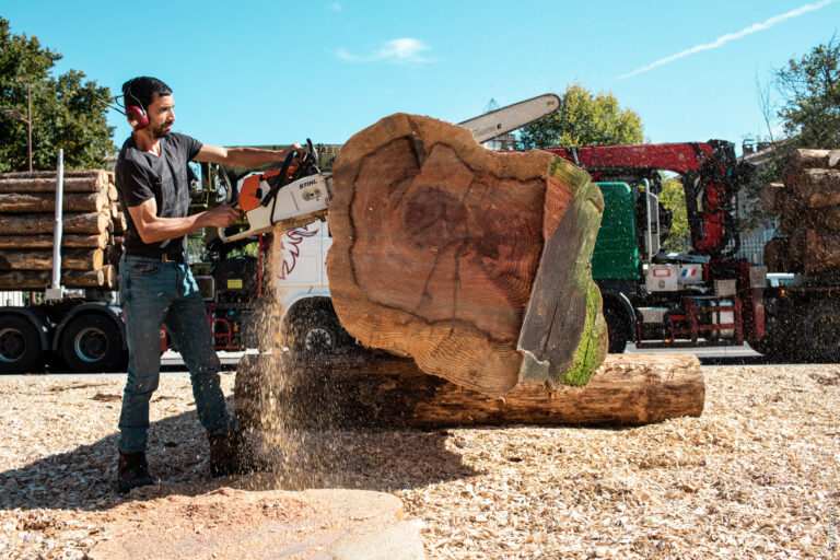 fête de la forêt-95