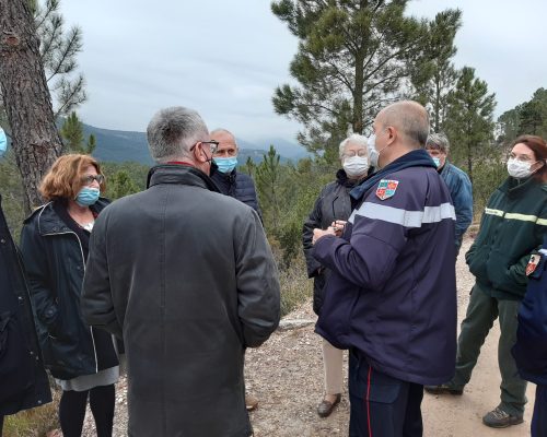 Visite en forêt de pins maritimes à Gagnières (30) organisée par la Communauté de Communes de Cèze
Cévennes