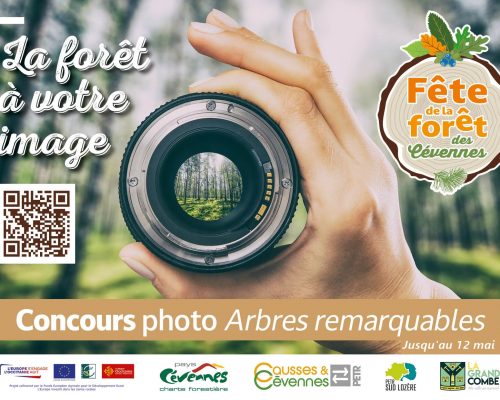 A4_Concours_Fête de la forêt 2024_FL