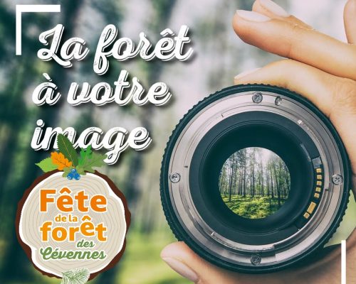 Visuel insta