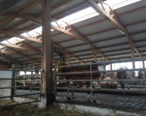 hangar-agricole-bois-CA48