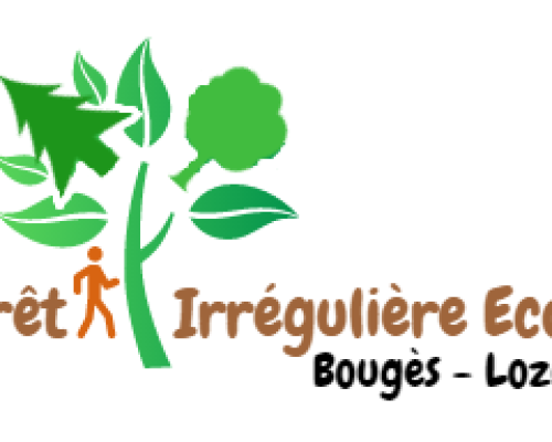 logo_FIE_Bouges